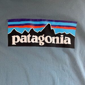 Patagonia Tshirt